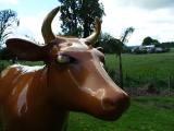 Copper Cow