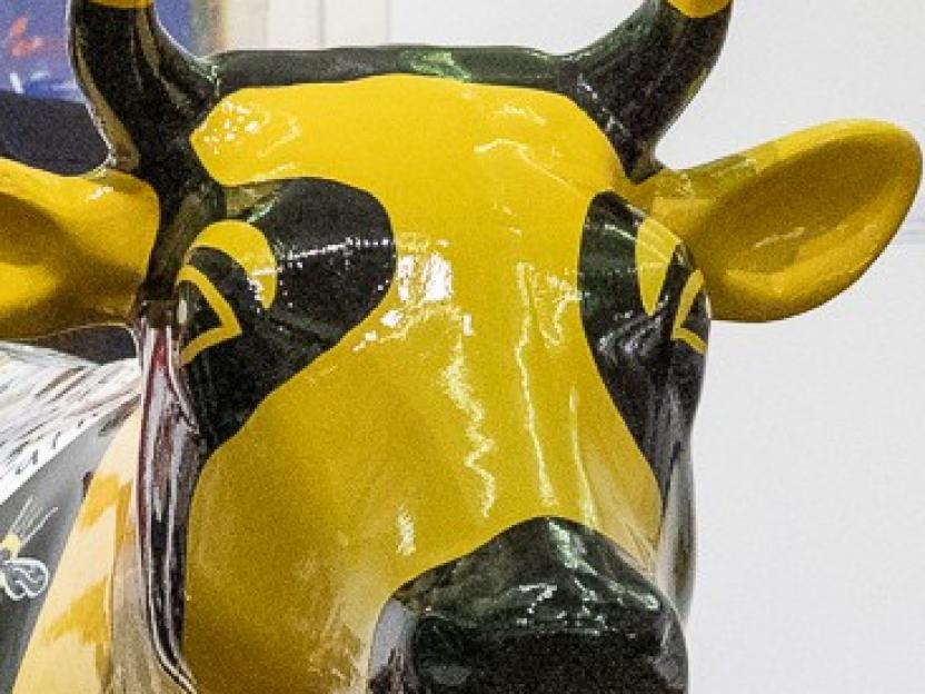 Pi Kau (Bee Cow)