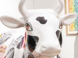 Morrinsville Community House Cow
